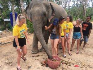 Camp Thailand Reviews